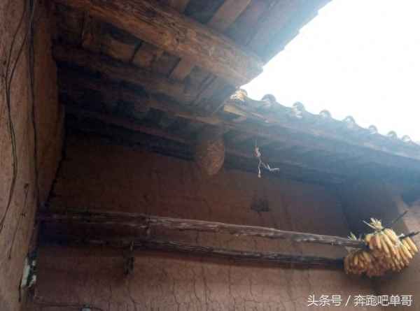 家有蜂窝是吉还是凶,家里有蜂窝寓意