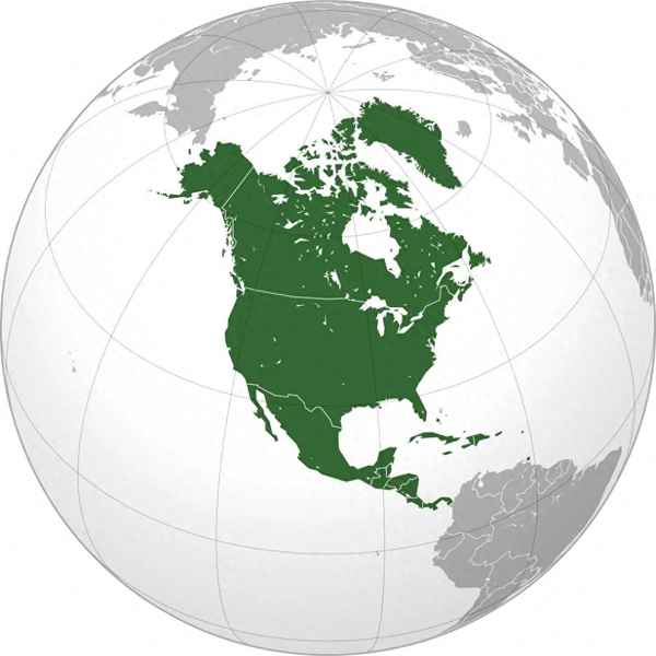 紐約五大區主要因素-紐約由五個行政區組成