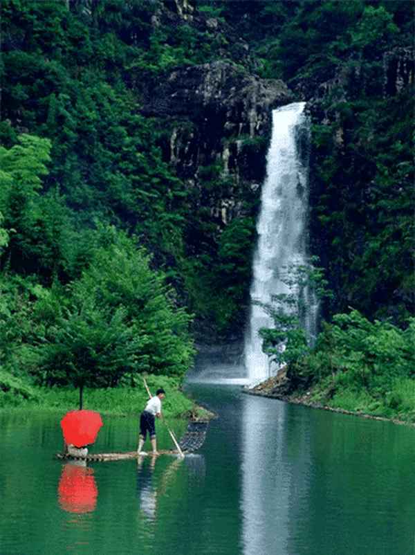 天生我才必有用搞笑下一句怎么说(天生我才必有用搞笑下一句怎么说呢)