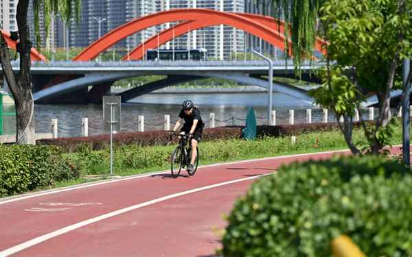 追风少年 电视剧-追风少年电视剧演员表