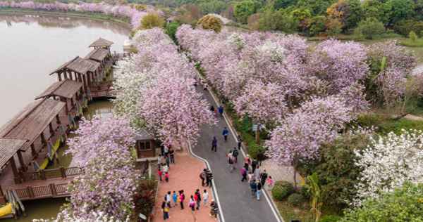 海珠湖公園免費嗎—海珠湖公園游玩時間