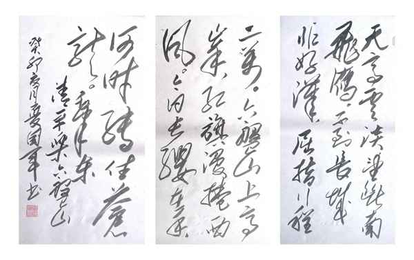 清平乐六盘山意思简单(清平乐六盘山的诗意思)