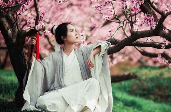 古诗人面桃花相映红全文_人面桃花相映红是什么诗