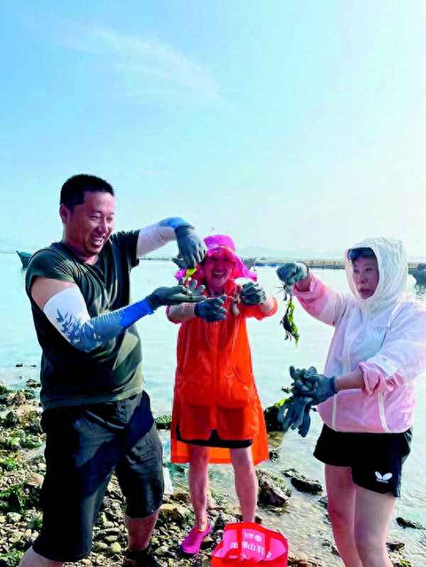 莊河免費海灘哪里好玩、莊河免費海灘哪里好玩兒