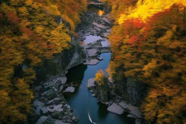 秦嶺看紅葉最佳去處—秦嶺賞紅葉5條公路