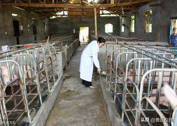 吃多西环素可以冶支原体;支原体感染吃多西环素12天