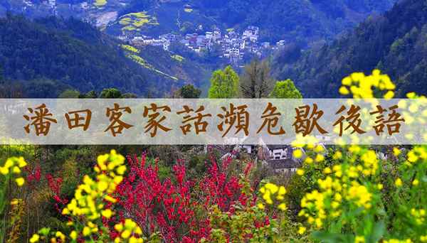 歇后語的運用舉例、生活中常用的歇后語