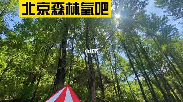 西郊公園門票什么價格、上海西郊公園門票價格60歲多少錢