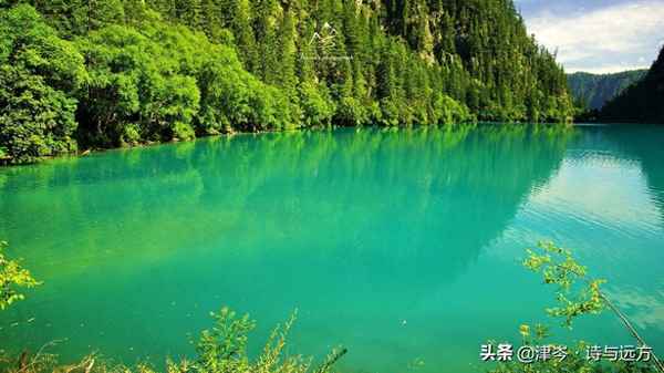 一句話概括九寨溝(一句話概括九寨溝的特點)