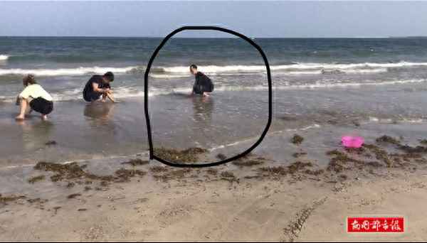 文昌白金海岸31号楼最新消息_十年后海南房价预测
