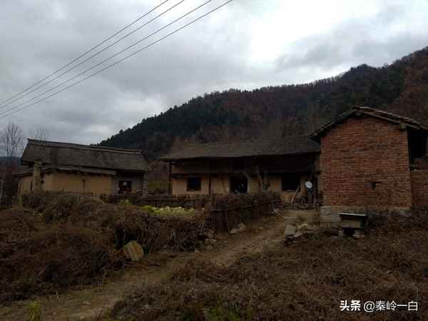 房產頭像圖片大全;房產頭像圖片大全 經紀人 成熟