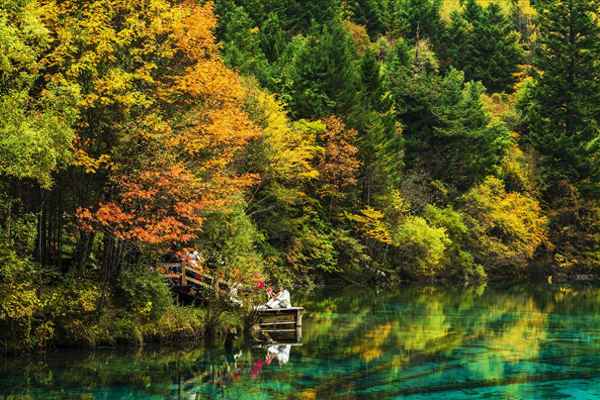 四川七日游攻略详细安排-四川七日游攻略详细安排贴吧