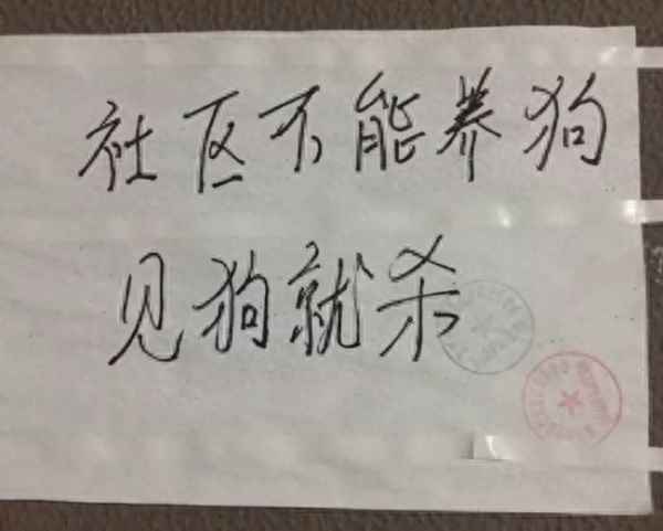 被小区狗咬了可以杀狗么,被小区的狗咬了谁负责