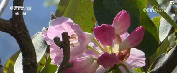 文化赋能(强化文化赋能)