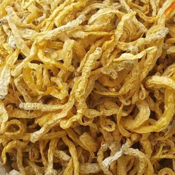 野生干蘑菇的做法大全(山上采的蘑菇怎么做好吃)