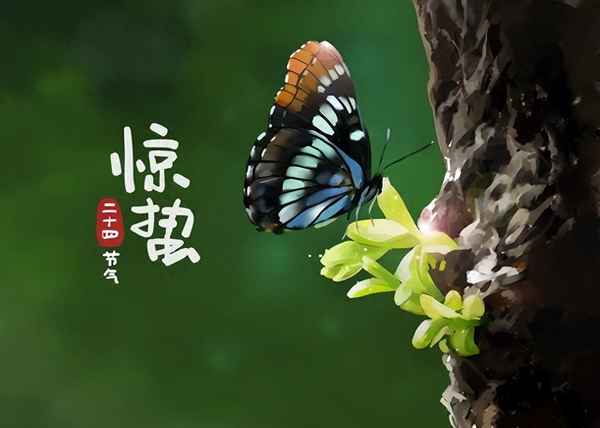香辣小龍蝦的功效;香辣小龍蝦的做法家常做法