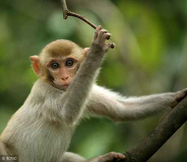 一口气看完电影柳暗花明_柳暗花明电影完整版