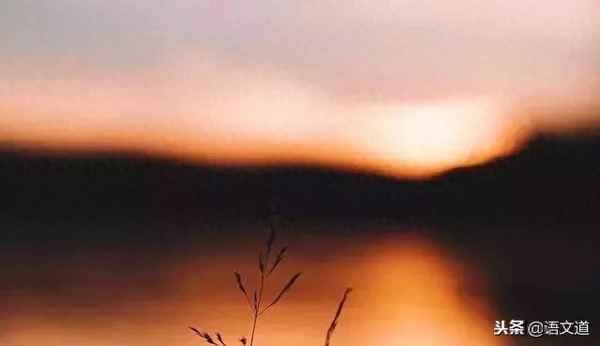 山园小梅是几年级的诗—山园小梅节选古诗