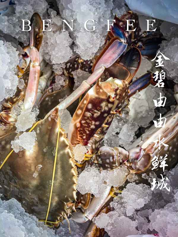 石家莊海鮮飯店排名-石家莊最好吃的海鮮飯店