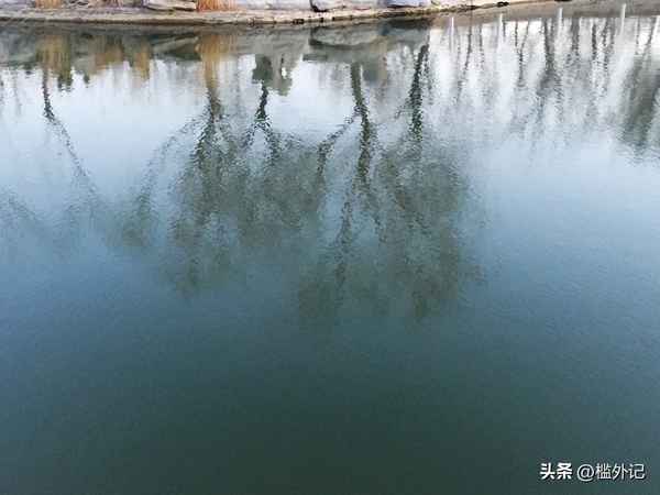 风雨故人情什么意思(风雨故人情意思)