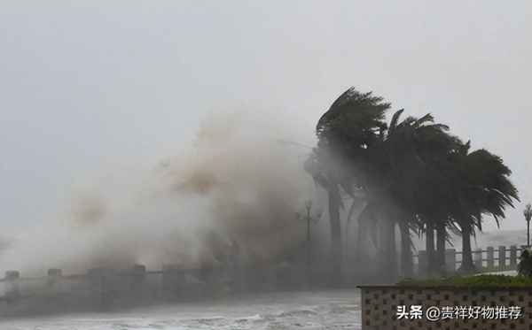 台风主要分布在哪里(台风主要分布在哪里省份)