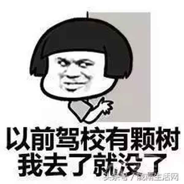 武都駕校報名費多少錢、武都駕校報名費多少錢一次