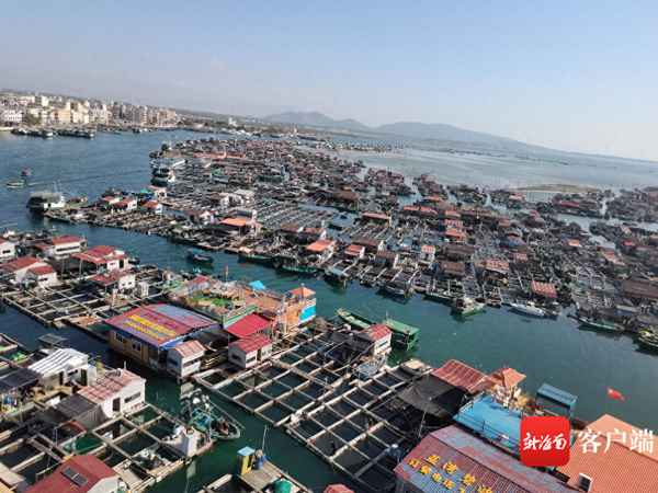 南灣猴島自駕游攻略_南灣猴島游記