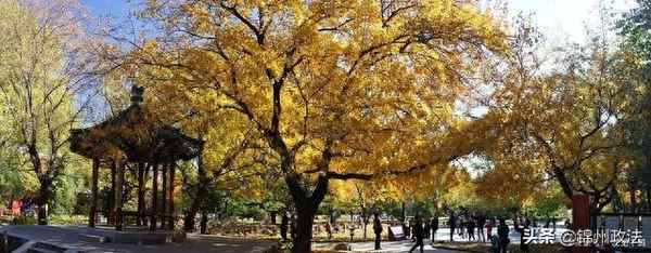 秋凉晚步三四句的妙处;秋凉晚步后两句诗的意思