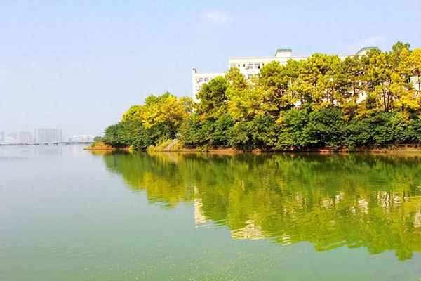 中南财经卓(中南财大卓法班)