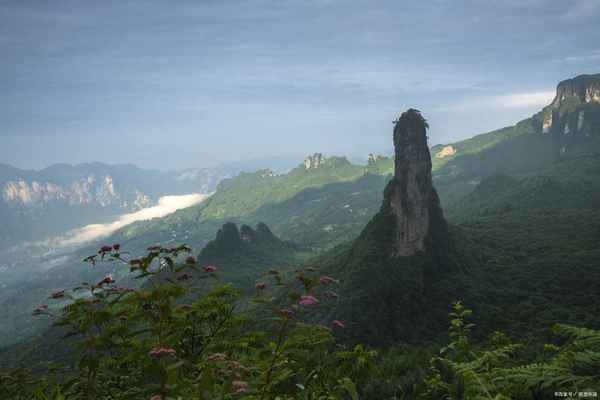 張家界都有哪些正規旅行社(張家界正規的旅行社有哪幾家)