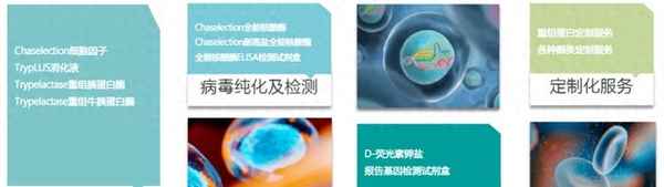 基因編輯技術的突破、基因編程技術成熟了嗎