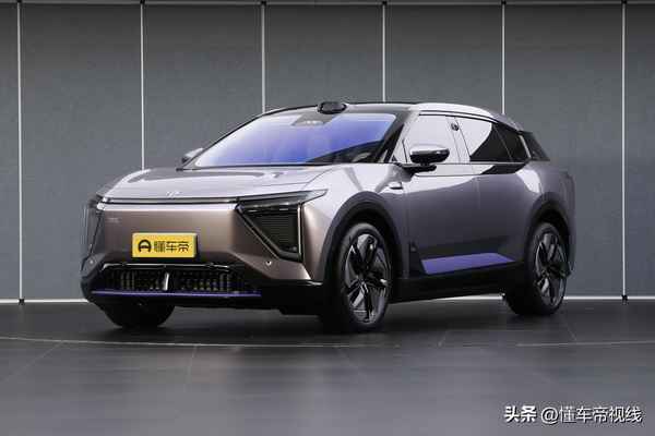 純電中大型suv推薦_大型純電動suv