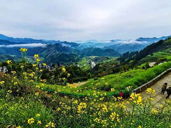 六盤山森林公園在哪里_六盤山森林公園攻略