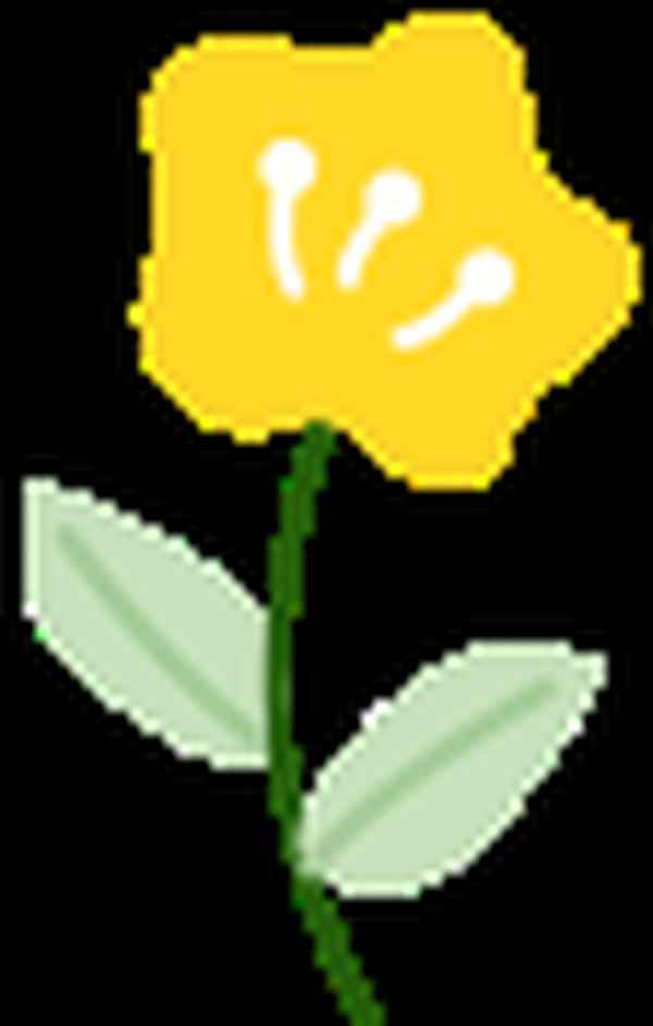 上海19年12月2日天气查询、2019年12月份上海天气查询