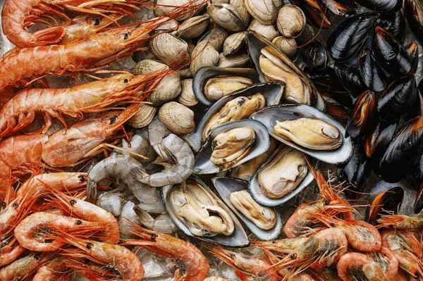 大連鮑魚是野生還是養殖的,大連鮑魚營養功效和作用