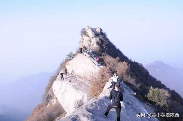 牛背梁一日游旅游攻略—牛背梁一日游旅游攻略自駕