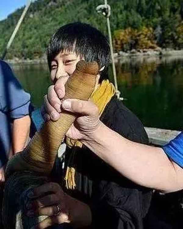 紅燒鮟康魚怎么做好吃—康魚圖片