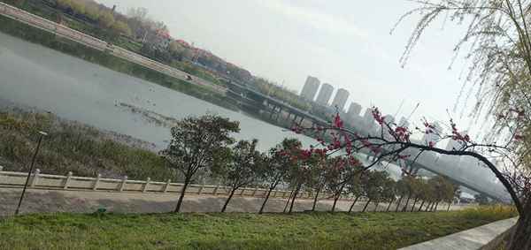 <font color=red>红杏</font>出墙记全文小说,厂妹很疯狂小说阅读全文