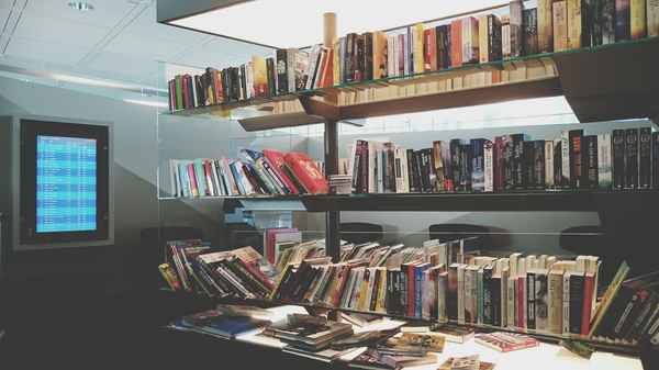 2338的真正含义_2338有什么特殊的含义