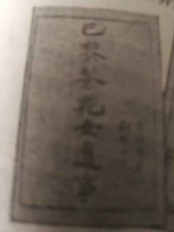 林纾不懂外语怎么翻译？,林纾是如何翻译的