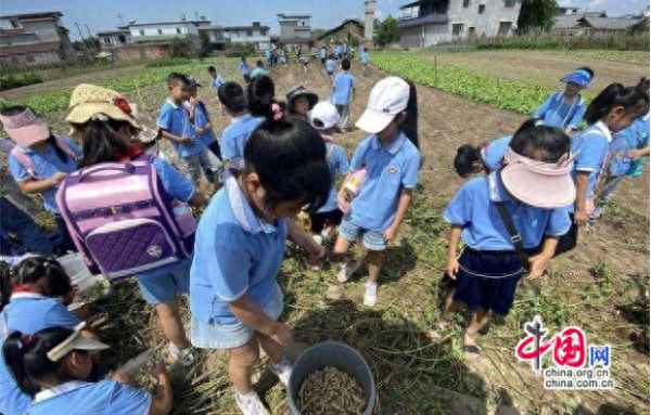 劳动实践过程及感悟;劳动实践过程及感悟800字