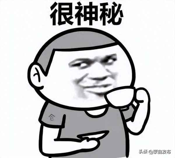初中三年信息技術學哪些內容;初中信息技術基礎知識