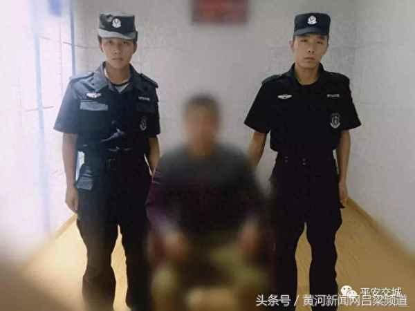 偷猫贼怎么偷猫的(偷猫贼怎么偷猫的呢)
