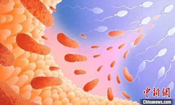 微生物與健康論文-微生物與人體健康征文