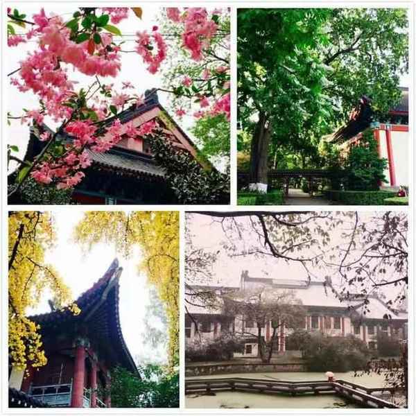 城舟房產,福建房地產公司