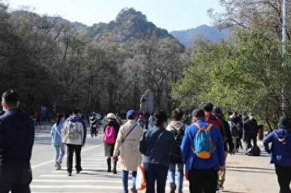 千山免票政策最新;千山門票有優惠嗎