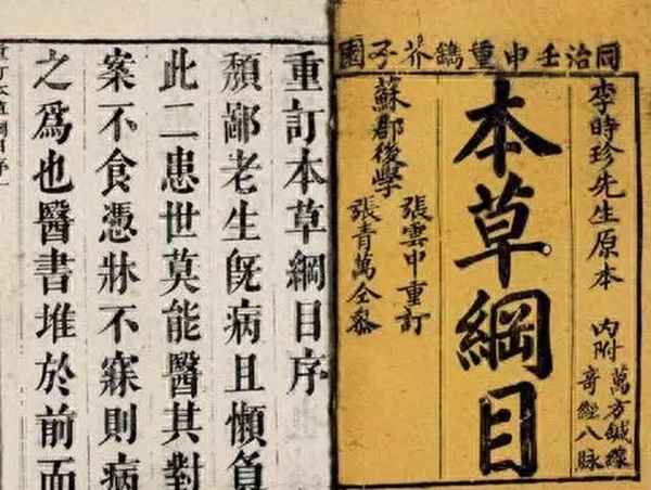 形容熊貓的樣子的詞語有哪些(形容大熊貓的詞語有哪些)