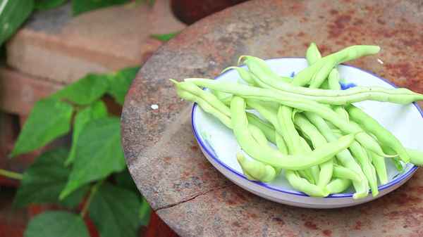 土豆燉豆角的制作步驟—土豆燉豆角的做法視頻