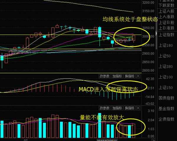 高策财经,高策机构app