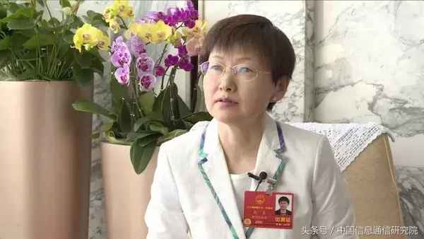 财经裴蕾(裴斐南京财经大学)